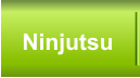 Ninjutsu